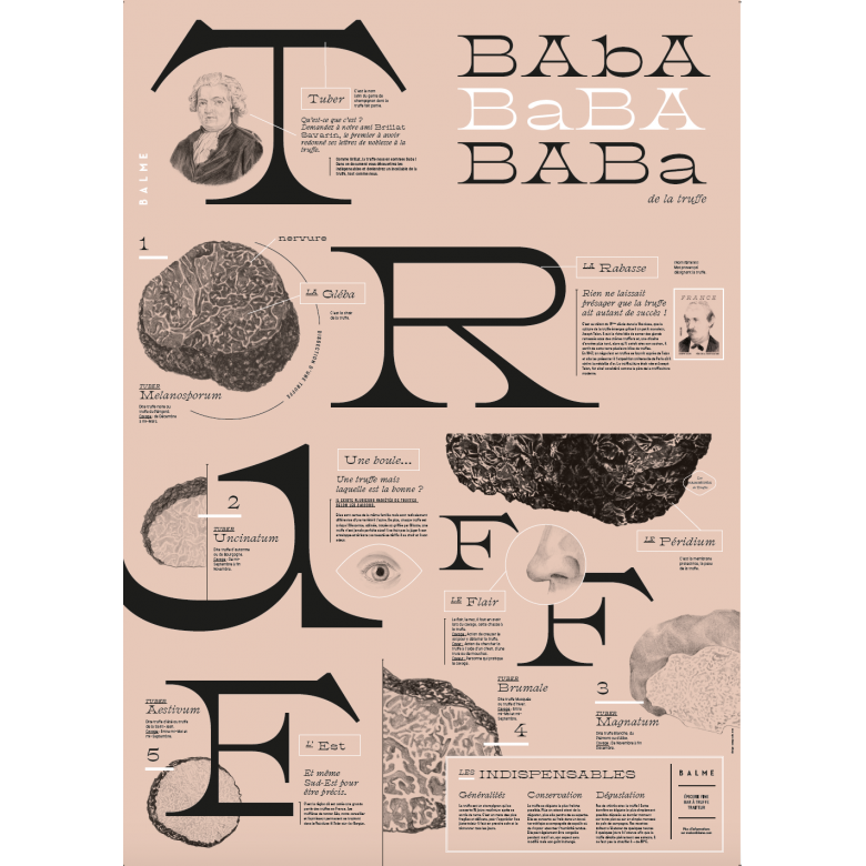 Poster bAba de la truffe